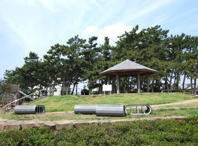 茅ヶ崎公園・野球場の画像