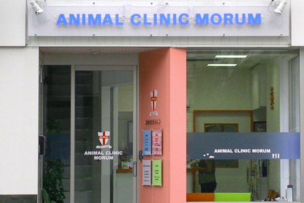 動物病院モルムの画像
