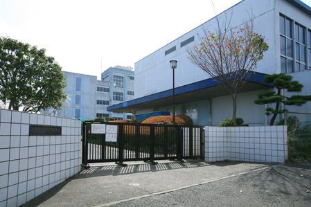藤沢市立 駒寄小学校の画像