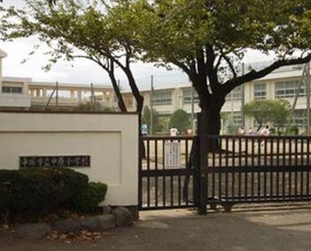 平塚市立 中原小学校の画像