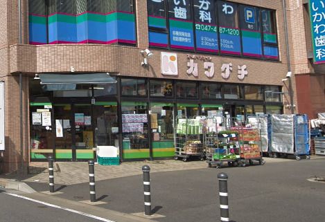 カワグチ　大和田店の画像