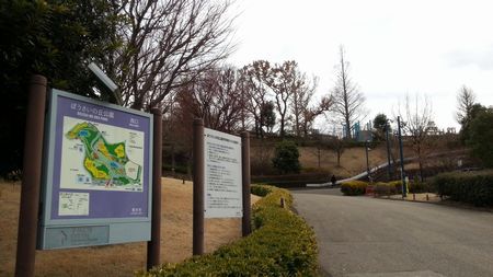 【厚木市】防災の丘公園の画像