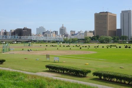 多摩川緑地野球場の画像