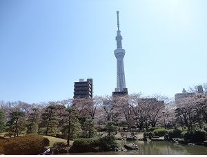 隅田公園の画像