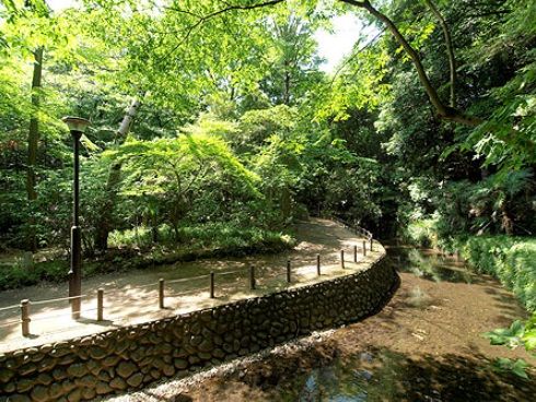 等々力渓谷公園の画像