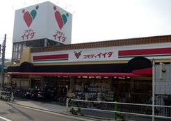 コモディイイダ　徳丸店の画像