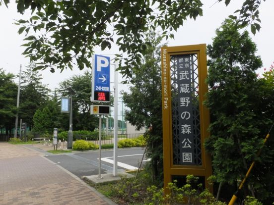 東京都立武蔵野の森公園 (1)の画像