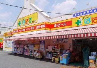 どらっぐぱぱす 西台店の画像