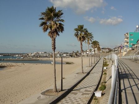 江井ヶ島　海水浴場の画像