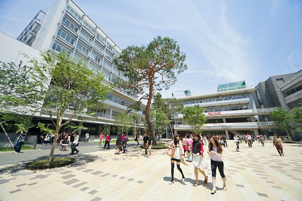成城大学の画像
