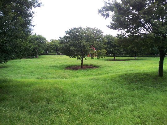 祖師谷公園の画像