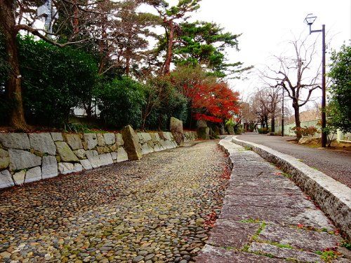 藤和緑地の画像