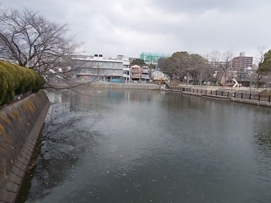 江坂大池の画像