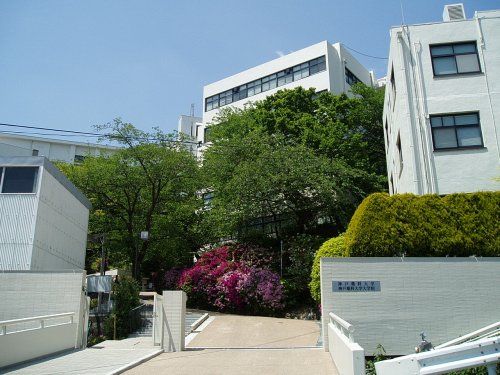 神戸薬科大学の画像