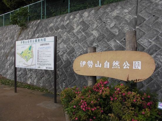 伊勢山自然公園の画像