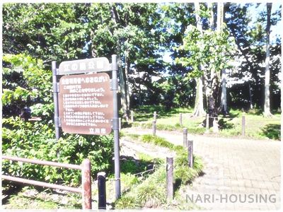 江の島公園の画像