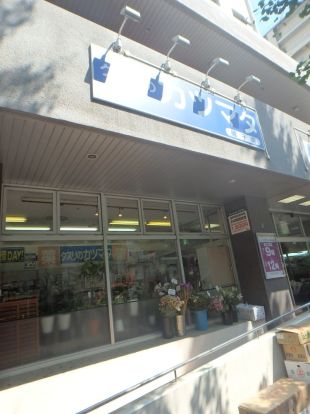 クスリのカツマタ「磯子店」 (1)の画像