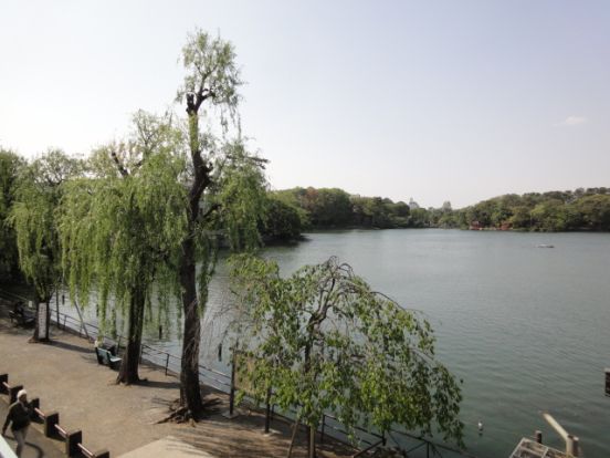 洗足池公園の画像