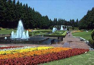 県立相模原公園の画像