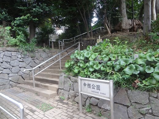 中根公園の画像