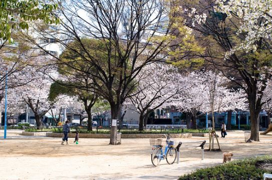 堀江公園の画像