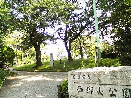 西郷山公園の画像