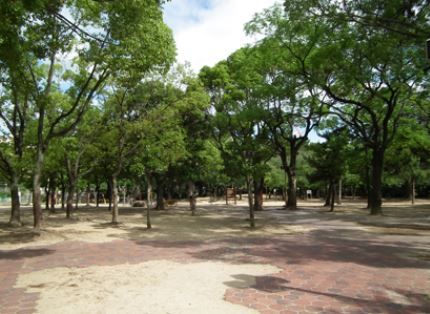 晴明丘中央公園の画像