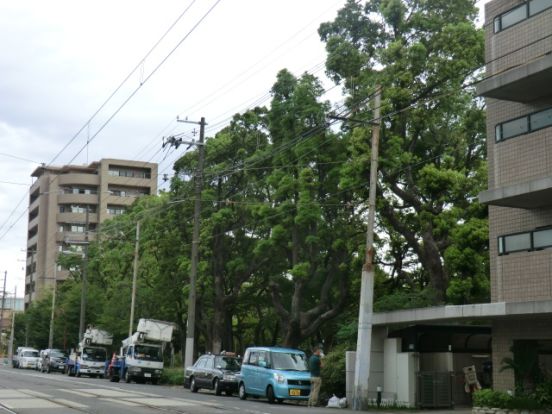 晴明丘中央公園の画像