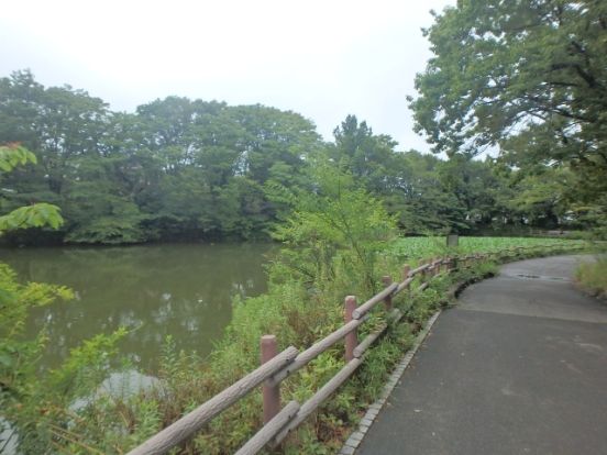 菊名池公園の画像
