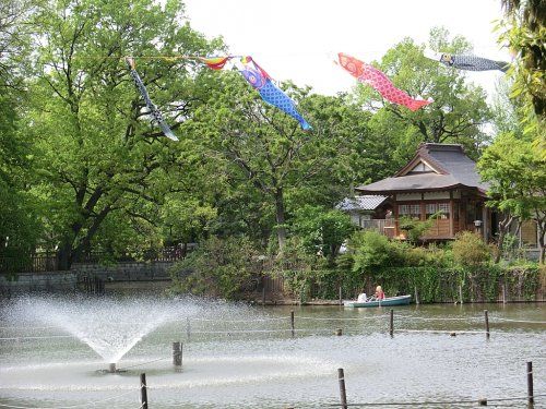 碑文谷公園の画像