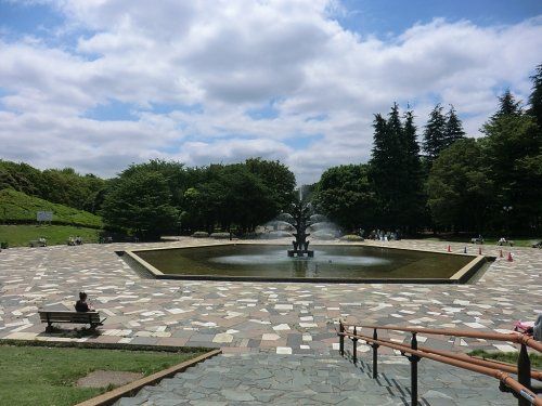 世田谷公園の画像