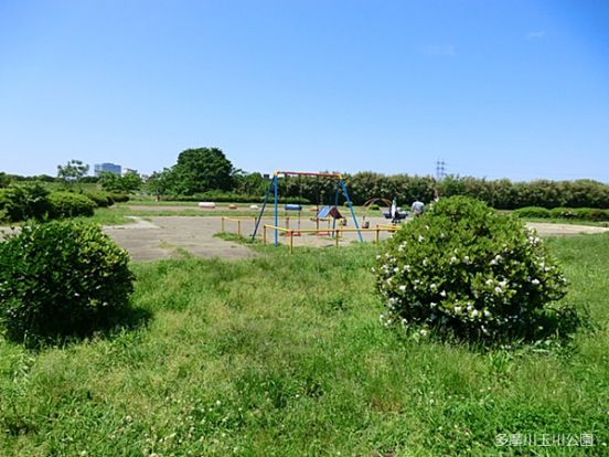 多摩川玉川公園の画像