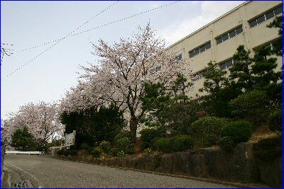 横浜市立豊田中学校の画像