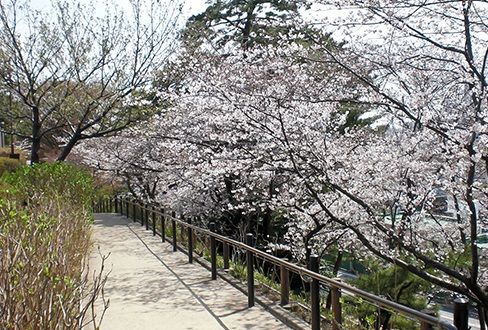 多摩川台公園の画像