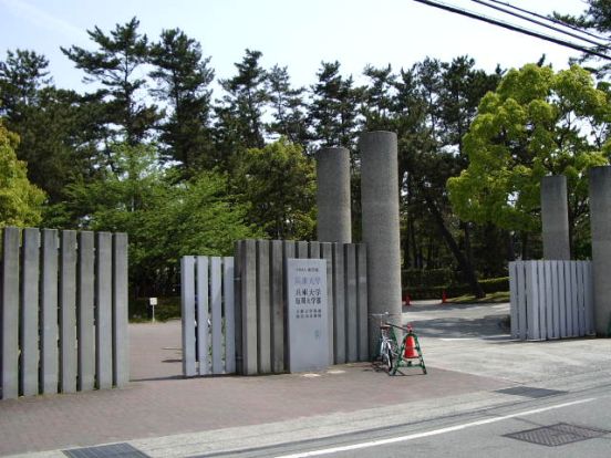 兵庫大学の画像