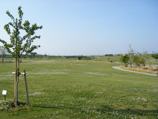 綾瀬スポーツ公園の画像