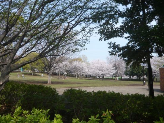 祖師谷公園の画像