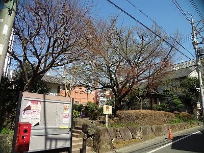 区立しいのき公園の画像