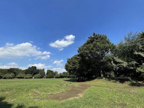 練馬区立立野公園の画像