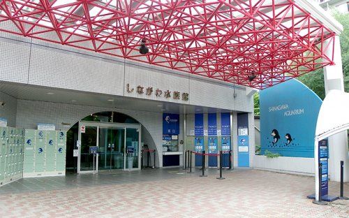 しながわ水族館の画像