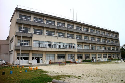 常滑市立大野小学校の画像