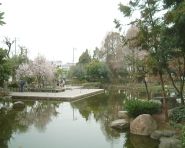 近松公園 の画像