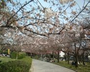 県立西武庫公園（交通公園）の画像