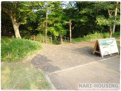 都立狭山公園の画像