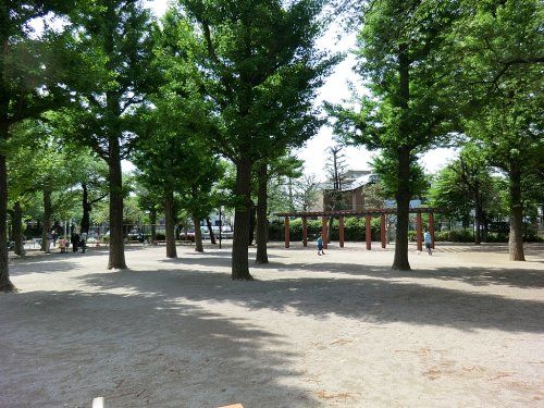 田向公園の画像