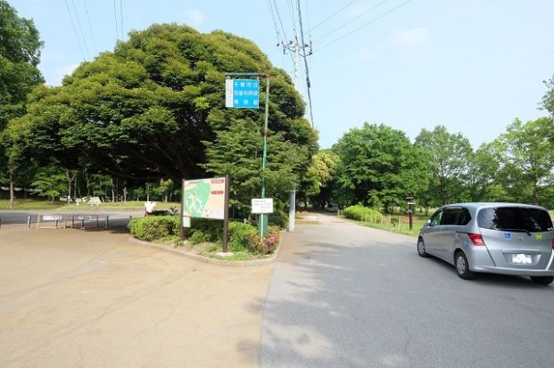 加曽利貝塚公園の画像