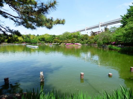 千葉公園の画像