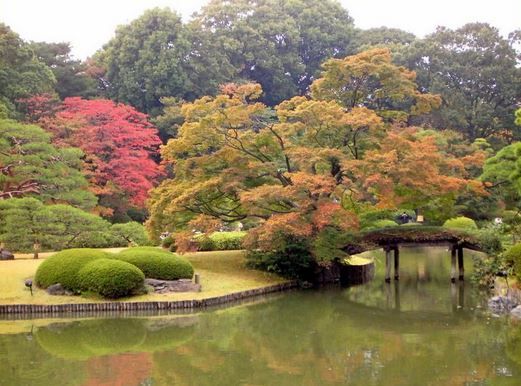 六義園の画像