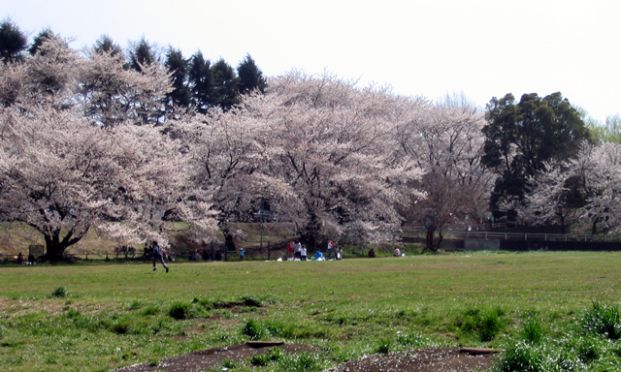 白山公園の画像