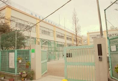 杉並区立 新泉小学校の画像